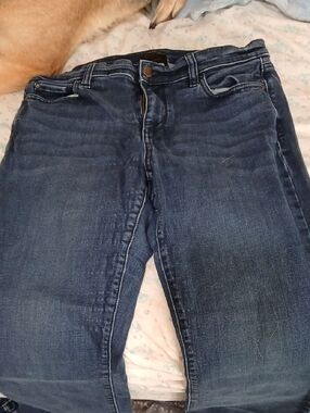 Ann Taylor Women's Dark Blue Skinny Jeans